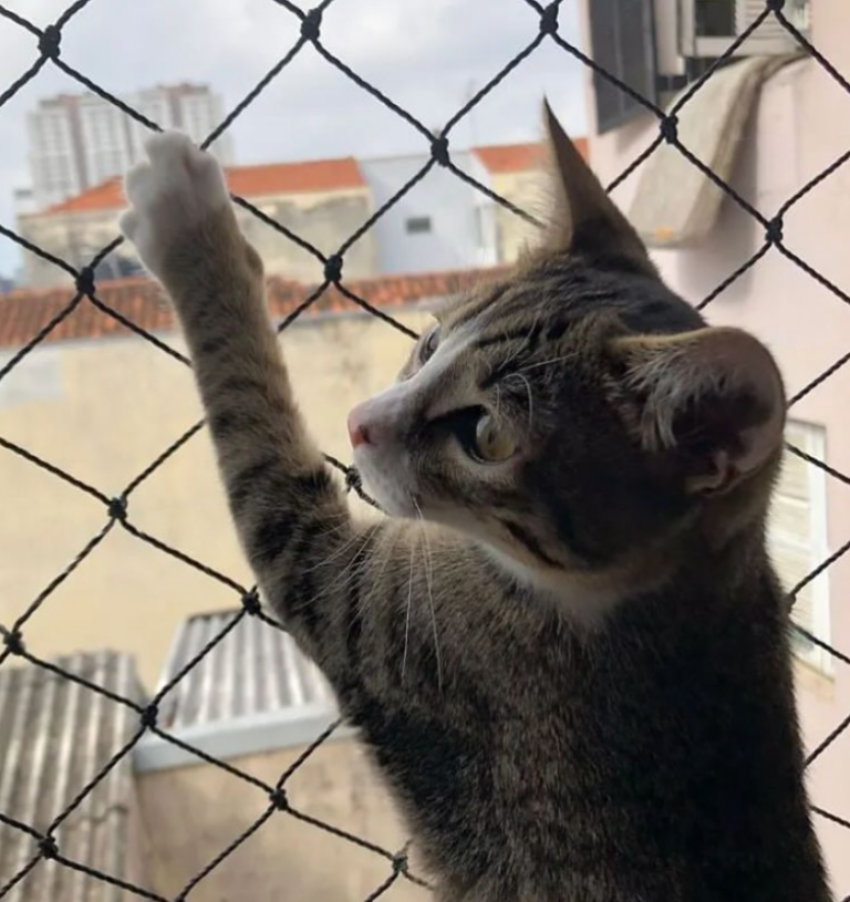 ABRANTES 3 1 768x815