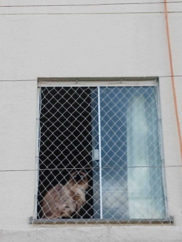 adalberto 1 768x1024