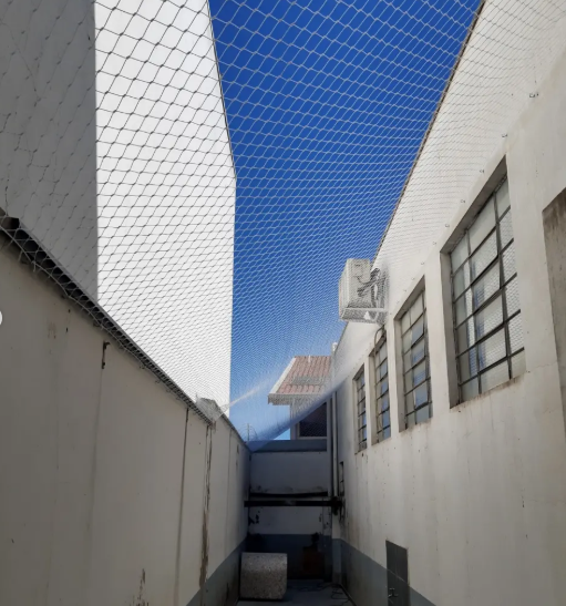 barri 1