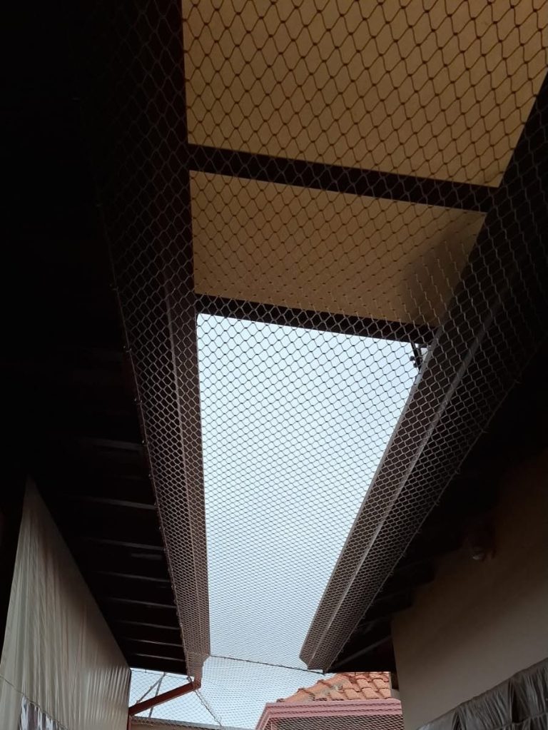 godoy 2 768x1023
