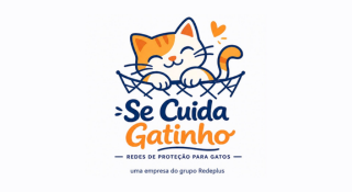 se cuida gatinho logo